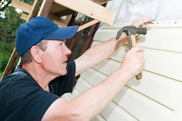 Best Custom Trim and Detailing for Siding  in Lewisburg, KY